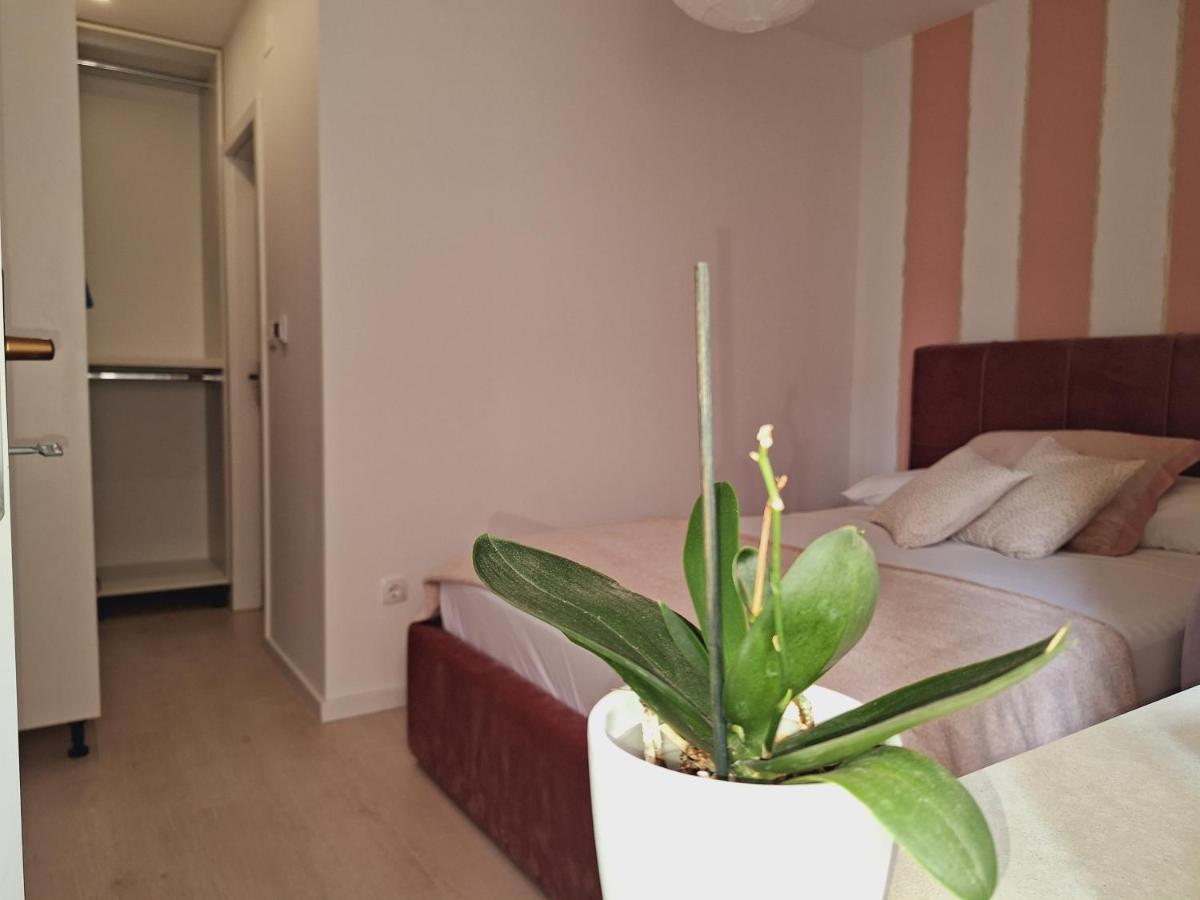 시베니크 Apartman Maja **** 아파트 외부 사진